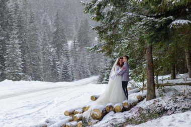 Gelin ve damat, karlı bir köknar ormanının arka planında sarılıyorlar. Kar yağıyor. Kış düğünü.