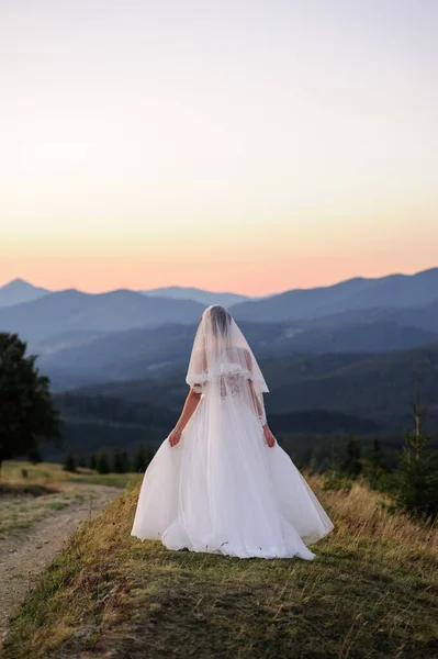 Duvakla Örtülmüş Yalnız Bir Gelin Dağların Arka Planında Gün Batımını — Stok fotoğraf