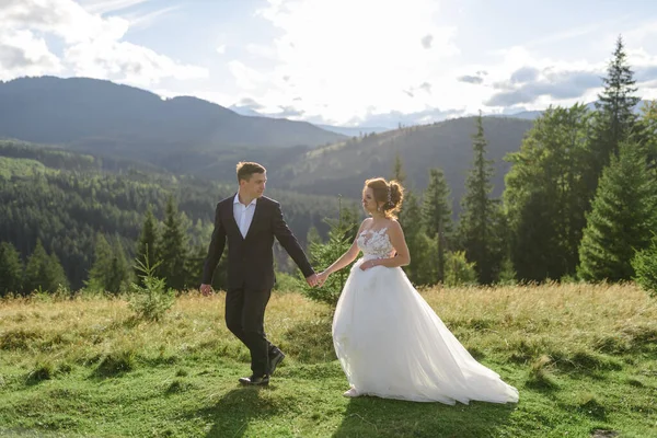 Bryllupsfotografering Fjellet Bruden Brudgommen Holder Hverandre Hånden Mann Leder Kvinne – stockfoto