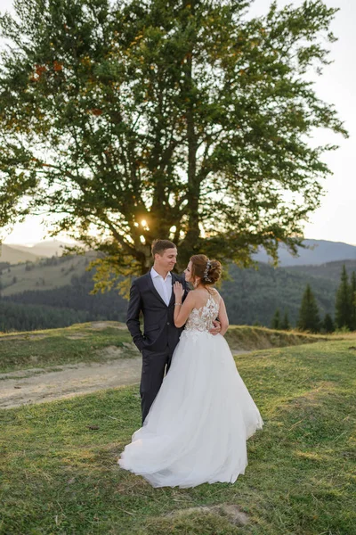 Fotografia Casamento Nas Montanhas Recém Casados Abraçam Olham Nos Olhos — Fotografia de Stock