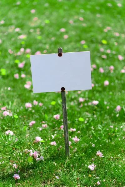 Placa Sobre Fondo Césped Verde Lugar Para Texto —  Fotos de Stock