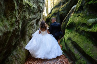 Gelin ve damat. Dar, güzel vadide gezinen bir çift. Vadi yeşil yosun ile kaplıydı. Yeni evliler dönüp duruyorlar..