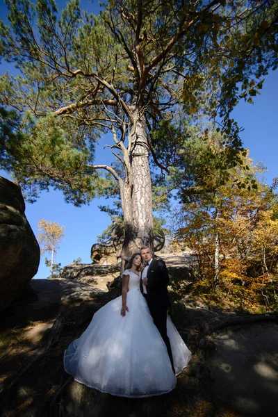 Recién Casados Abrazan Bosque Otoño —  Fotos de Stock