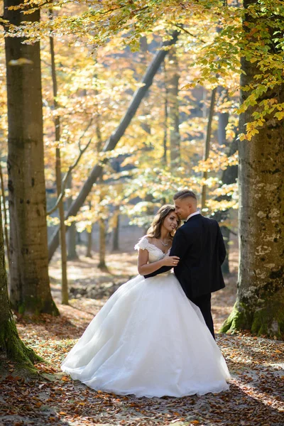 Recién Casados Abrazan Bosque Otoño —  Fotos de Stock