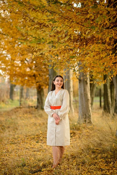 Porträt Einer Jungen Frau Vor Einem Hintergrund Von Herbstbäumen — Stockfoto