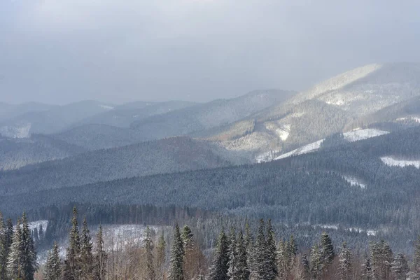 雪に覆われたスプルース山の森 — ストック写真