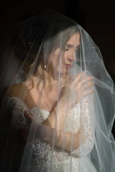 Portrét Krásné Nevěsty Pod Závojem — Stock fotografie
