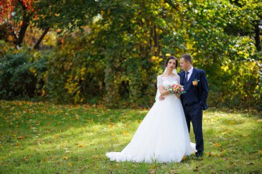 Gelin ve damat sonbahar parkının arka planında..