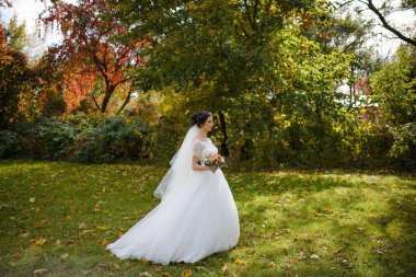 Sonbahar parkının arka planında yalnız bir gelinin portresi.