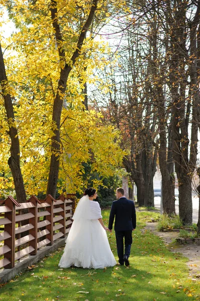 Novia Novio Fondo Del Parque Otoño Pareja Vuelve Cámara —  Fotos de Stock