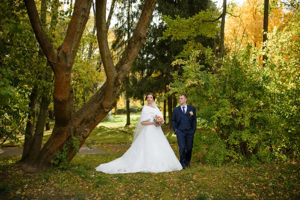 Νύφη Και Γαμπρός Στο Φόντο Του Φθινοπωρινού Πάρκου — Φωτογραφία Αρχείου