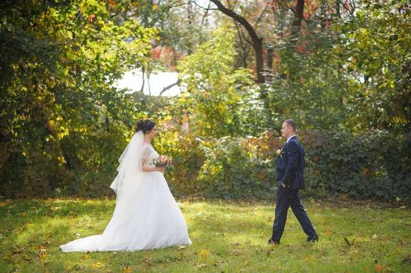 Жених Невеста Фоне Осеннего Парка — стоковое фото