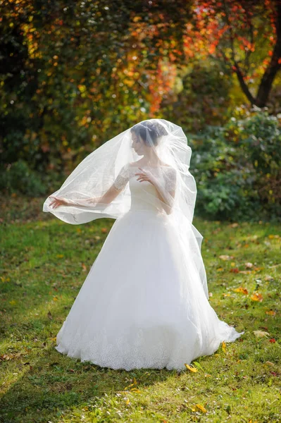 Ritratto Sposa Solitaria Sullo Sfondo Parco Autunnale Ragazza Rifugiò Sotto — Foto Stock