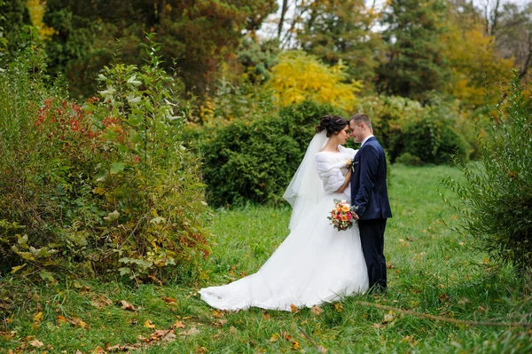 Νύφη Και Γαμπρός Στο Φόντο Του Φθινοπωρινού Πάρκου — Φωτογραφία Αρχείου