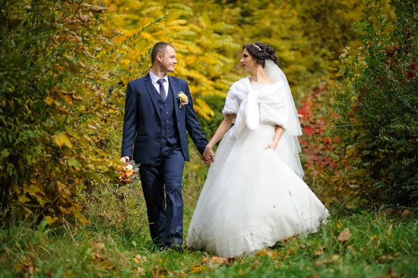 Жених Невеста Фоне Осеннего Парка — стоковое фото