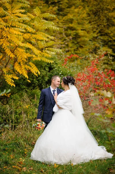 Novia Novio Fondo Del Parque Otoño —  Fotos de Stock