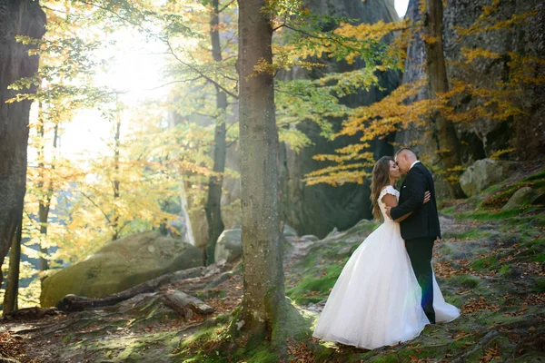 Los Novios Abrazan Entre Las Rocas Los Árboles —  Fotos de Stock