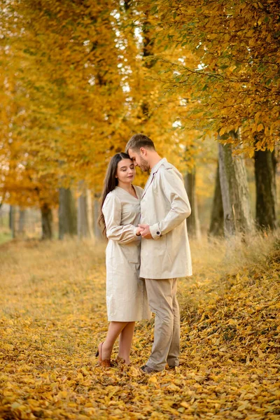 在一个阳光明媚的秋日 年轻夫妇手牵手穿过公园 — 图库照片