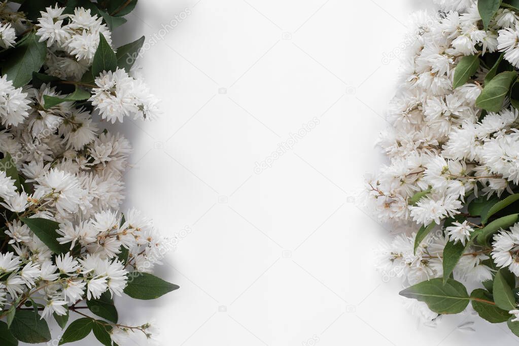White summer flowers on a white background around a white sheet. Flat lay, top view, copy space