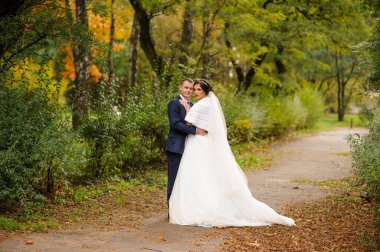 Gelin ve damat sonbahar parkının arka planında..