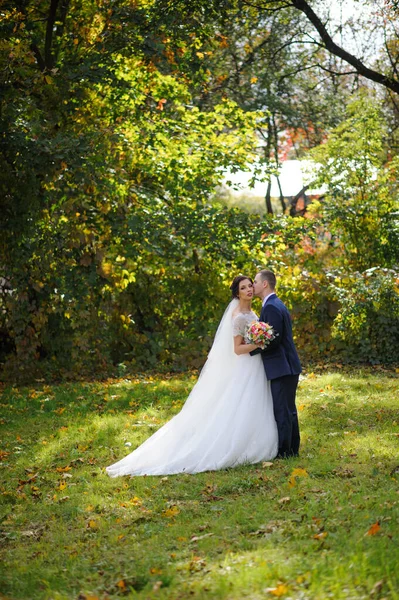 Nevěsta Ženich Pozadí Podzimního Parku — Stock fotografie