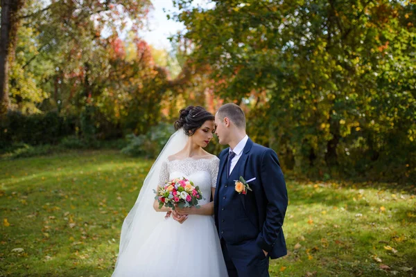 Novia Novio Fondo Del Parque Otoño —  Fotos de Stock