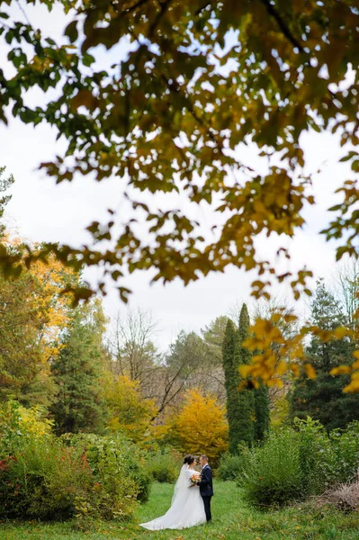 Novia Novio Fondo Del Parque Otoño —  Fotos de Stock