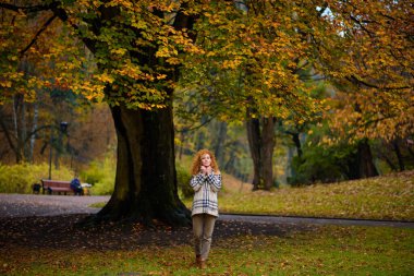 Kıvırcık saçlı ve mavi gözlü güzel kızıl saçlı kız. Kız kareli bir ceket giyiyor. Bir kız sonbahar parkında yürüyor..