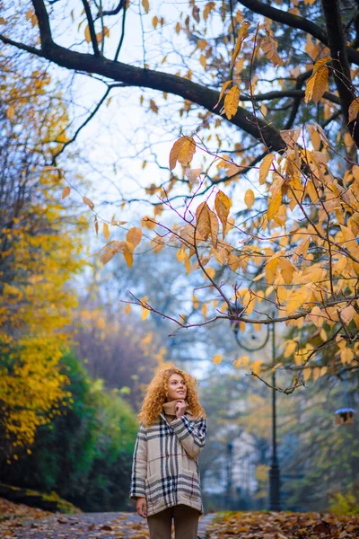 Schöne Rothaarige Mädchen Mit Lockigen Haaren Und Blauen Augen Das — Stockfoto