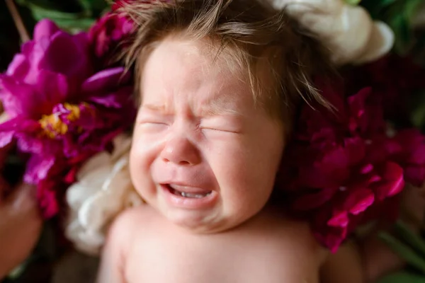 Маленька Двомісячна Дівчинка Лежить Дерев Яному Столі Півоніями Плаче — стокове фото