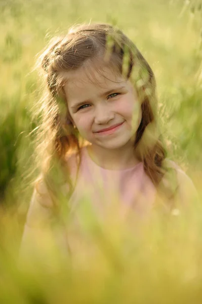 Retrato Uma Menina Bonito Vestido Rosa Menina Posando Campo Trigo — Fotografia de Stock