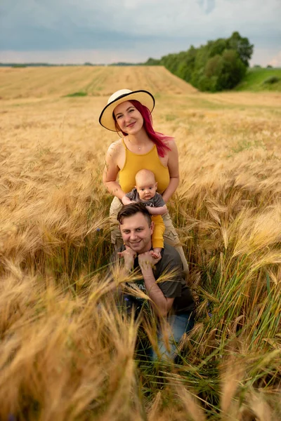 Батько Мати Маленький Син Розважаються Разом Пшеничному Полі — стокове фото