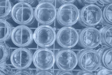 Geri dönüşüm ve yeniden kullanım için cam kapların sıralanması ve toplanması.