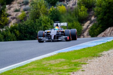 Bir Jerez De La Frontera, İspanya - 28 Ocak: Esteban Gutierrez, Sauber F1 yarış eğitim oturumunda üzerinde 28 Ocak 2014, Jerez de la Frontera, İspanya