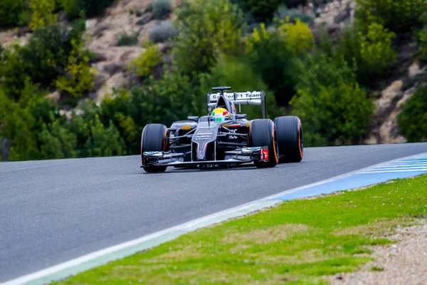 Херес Фронтера Испания Эстебан Гутьеррес Sauber Тренировочной Сессии Января 2014 — стоковое фото