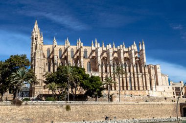 La Seu Palma de Mallorca Katedrali