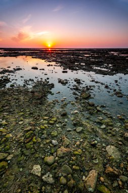 Corrales Plajı, balık kalemleri, Rota, Cadiz, İspanya