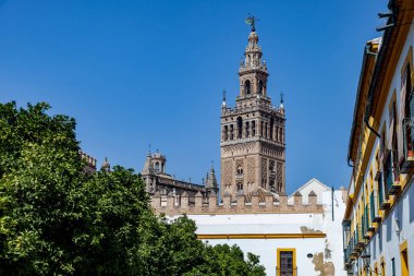 Sevilla Katedrali ve Giralda