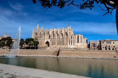 La Seu Palma de Mallorca Katedrali