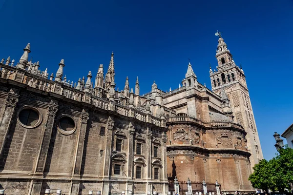 The Cathedral of Sevilla and the Giralda — Stock Photo, Image