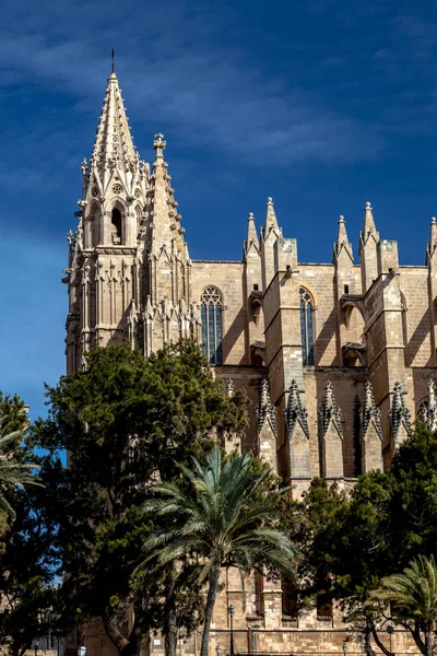 Catedral La Seu Palma de Maiorca — Fotografia de Stock
