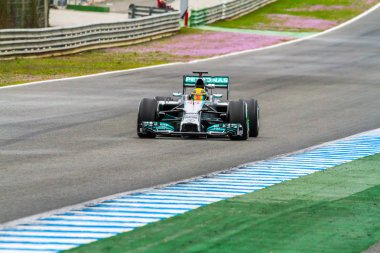 takım merceces f1, lewis hamilton, 2014