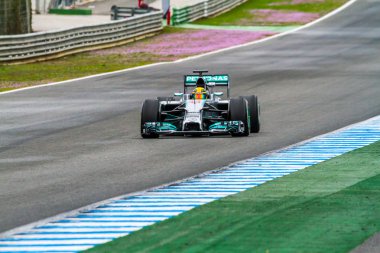 takım merceces f1, lewis hamilton, 2014