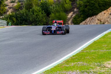 takım toro rosso f1, jean-eric vergne, 2014