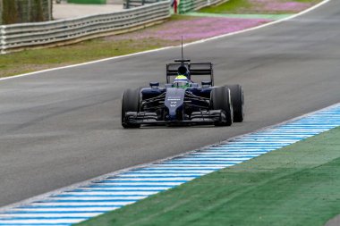 Williams f1, felipe massa, 2014 takım