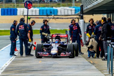 Scuderia Toro Rosso F1 Takımı, Carlos Sainz, 2015