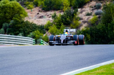 Takımı Sauber F1, Esteban Gutierrez, 2014