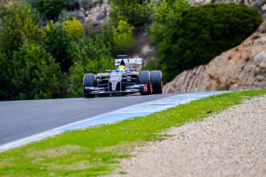 Takımı Sauber F1, Esteban Gutierrez, 2014