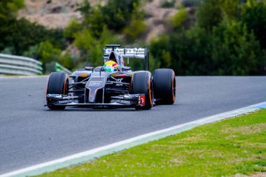 Takımı Sauber F1, Esteban Gutierrez, 2014