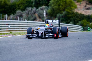 Takımı Sauber F1, Esteban Gutierrez, 2014